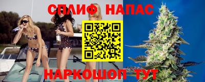 стаф Нарткала